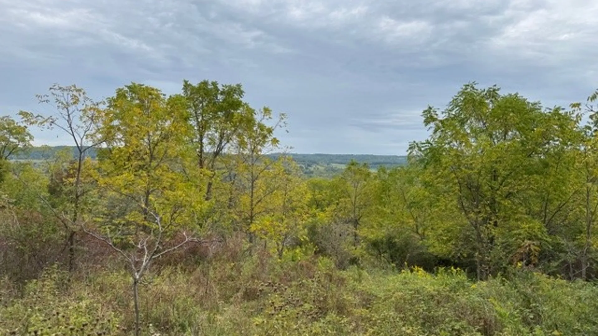 Property at Belle Cornell Drive, Dix, NY 14865 9