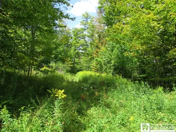 Property at 8250 Dobson Road, Birdsall, NY 14804