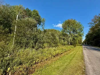 Property at 355 New Scriba Drive, Orwell, NY 13144