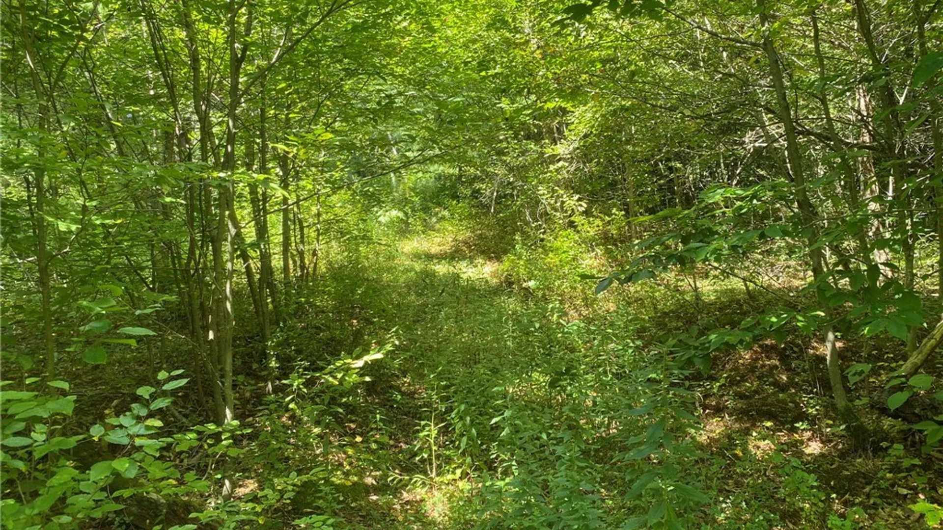 Property at 590 CR 17 Road, Russell, NY 13684 12