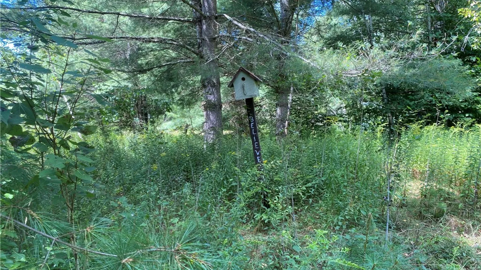 Property at 590 CR 17 Road, Russell, NY 13684 15