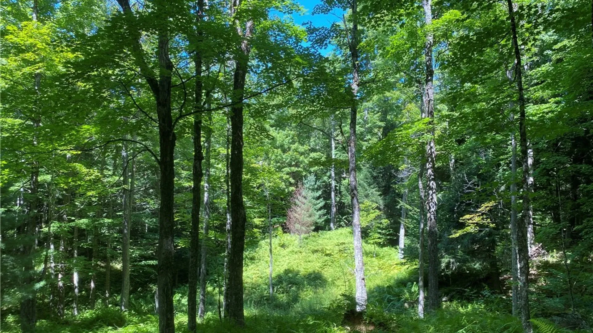 Property at 590 CR 17 Road, Russell, NY 13684 24