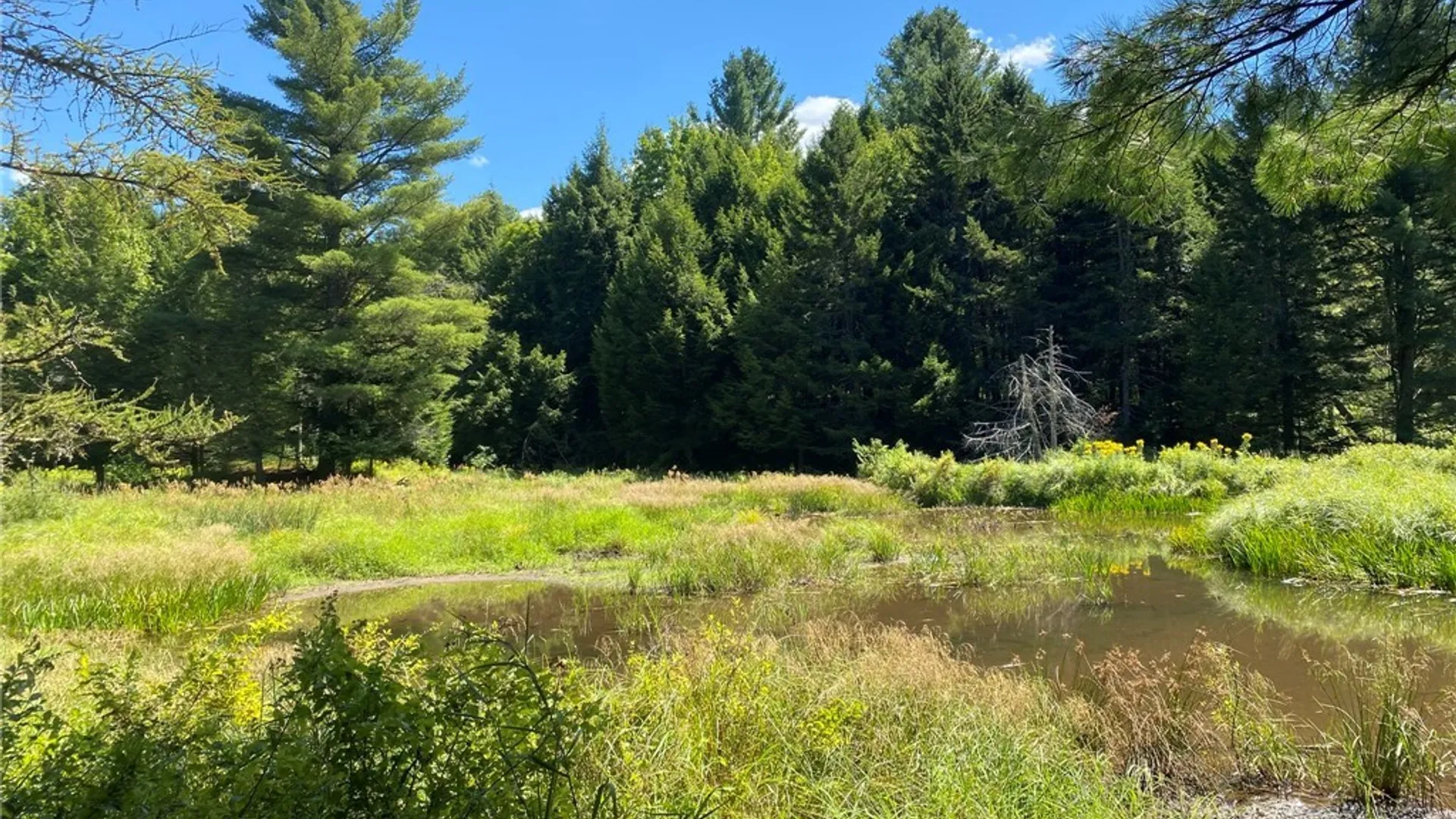Property at 590 CR 17 Road, Russell, NY 13684 27