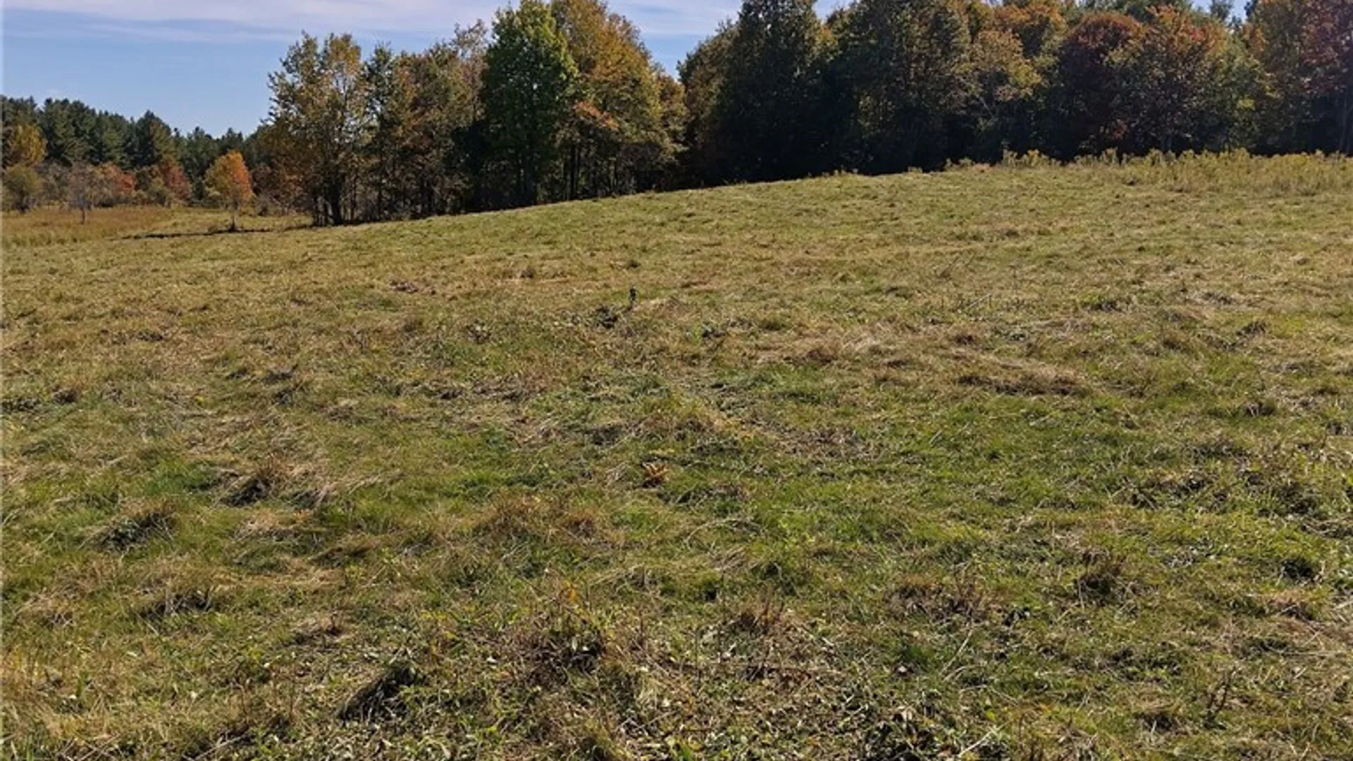 Property at part of 1991 Kotary Road, Lewis, NY 13325 11