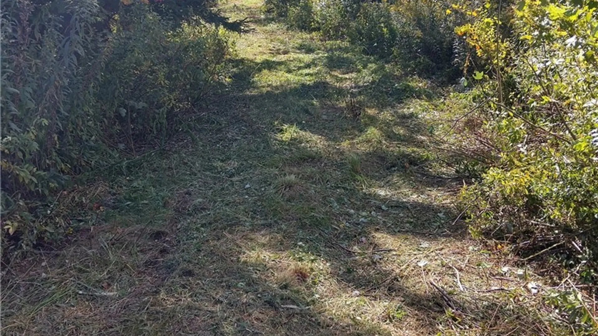 Property at part of 1991 Kotary Road, Lewis, NY 13325 13