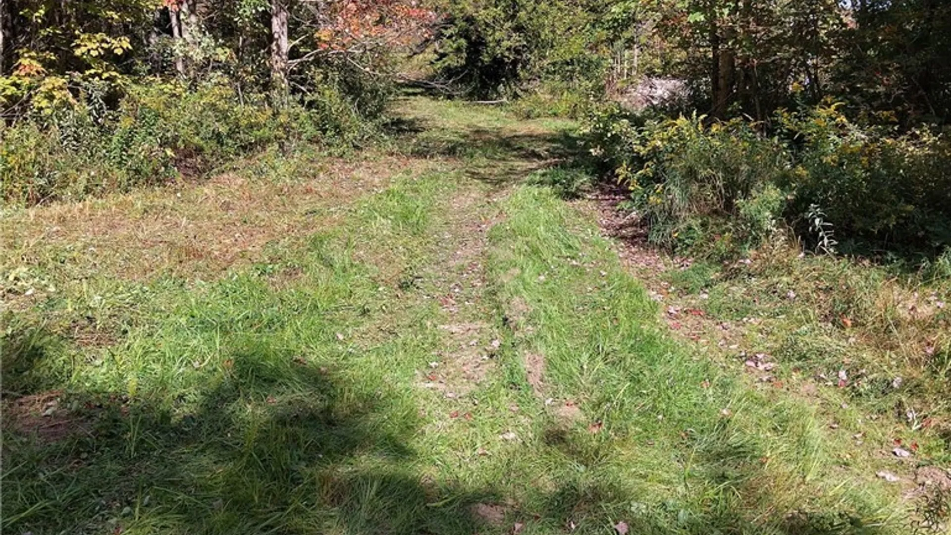 Property at part of 1991 Kotary Road, Lewis, NY 13325 14