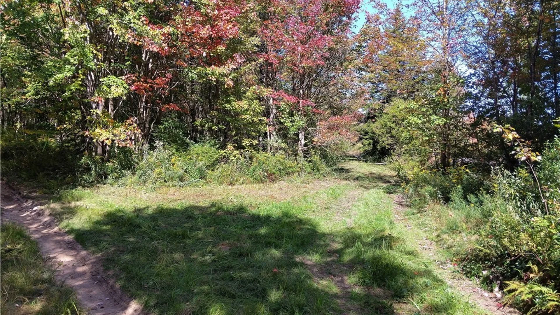 Property at part of 1991 Kotary Road, Lewis, NY 13325 15