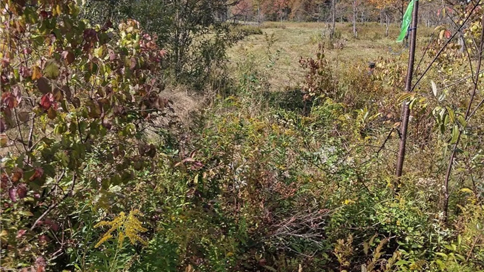 Property at part of 1991 Kotary Road, Lewis, NY 13325 17