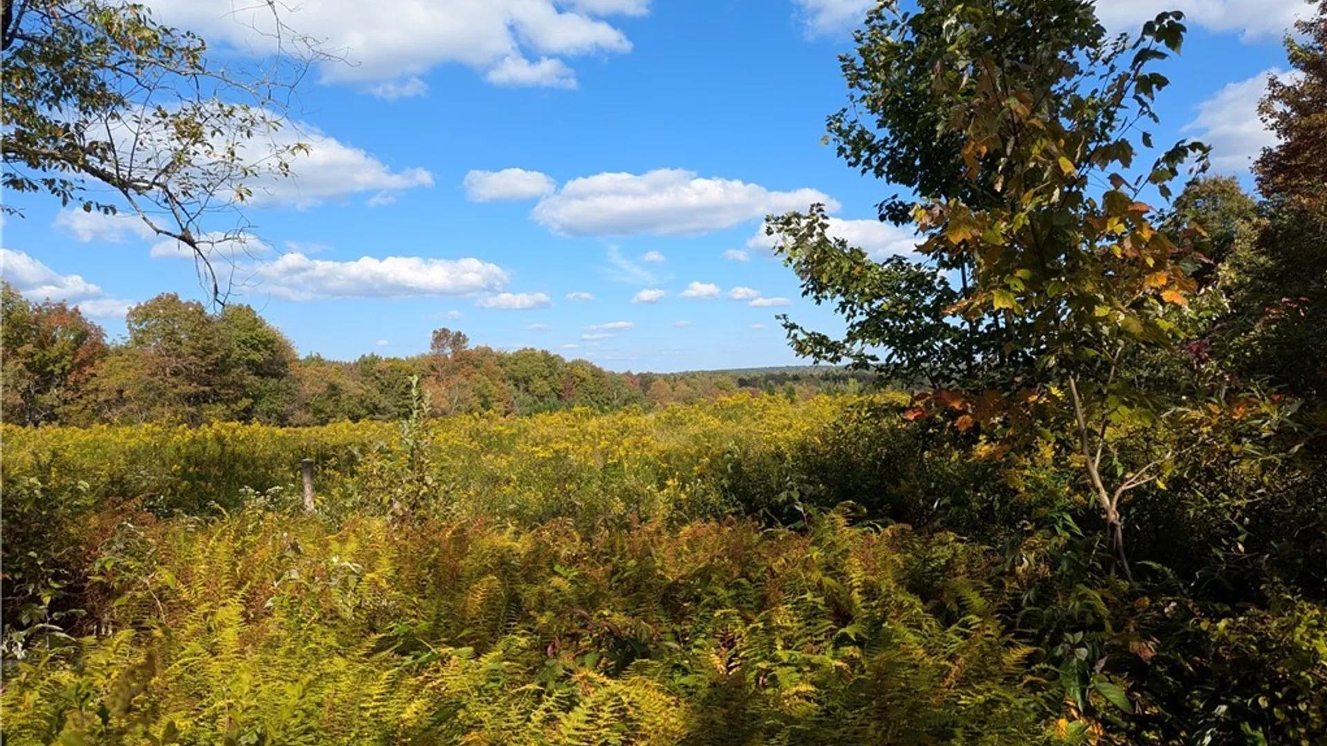Property at part of 1991 Kotary Road, Lewis, NY 13325 2