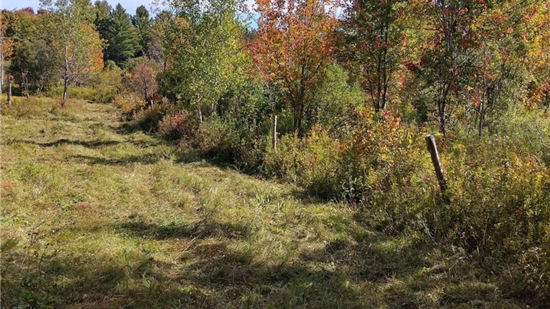 Property at part of 1991 Kotary Road, Lewis, NY 13325 6