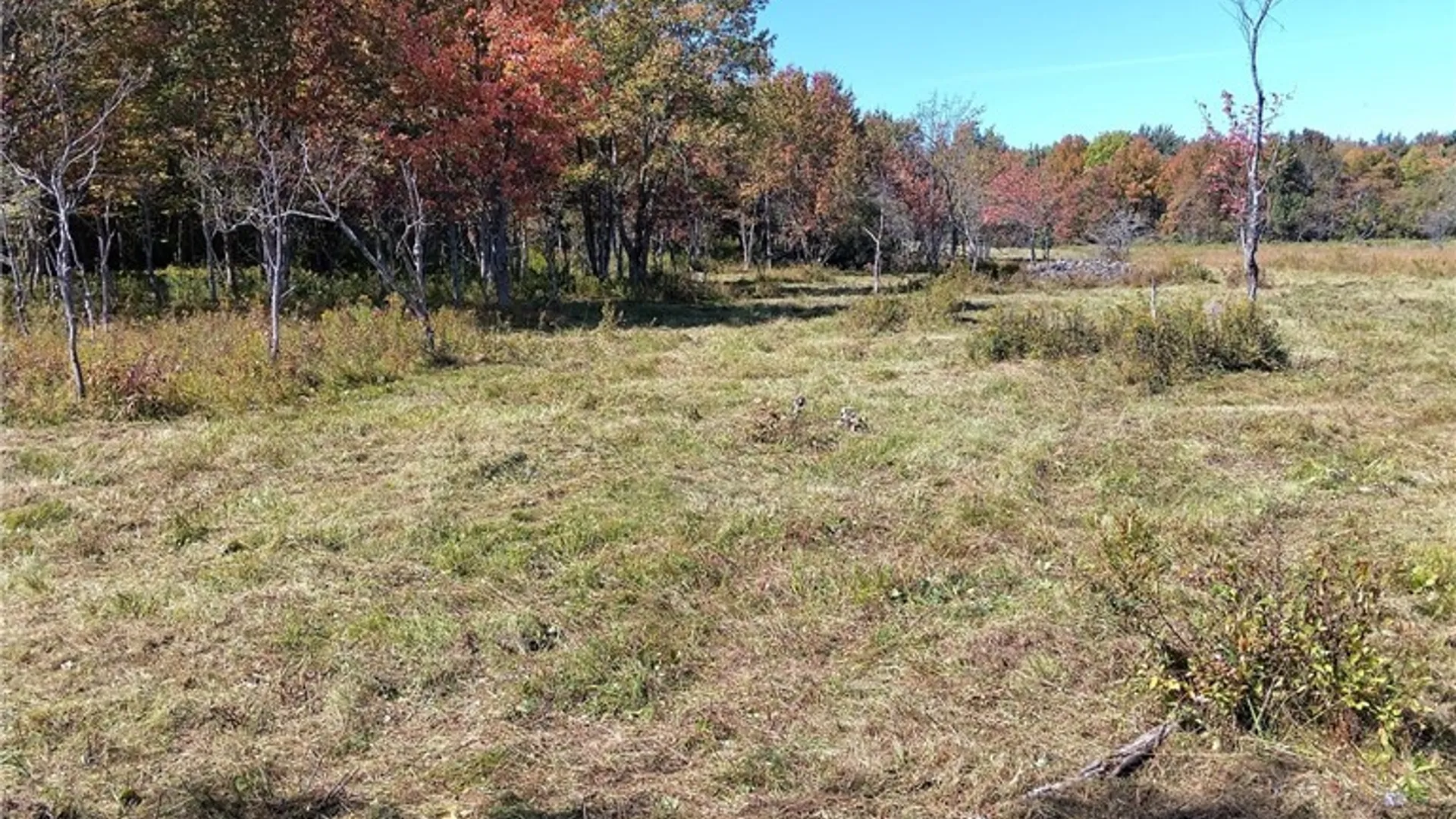 Property at part of 1991 Kotary Road, Lewis, NY 13325 7