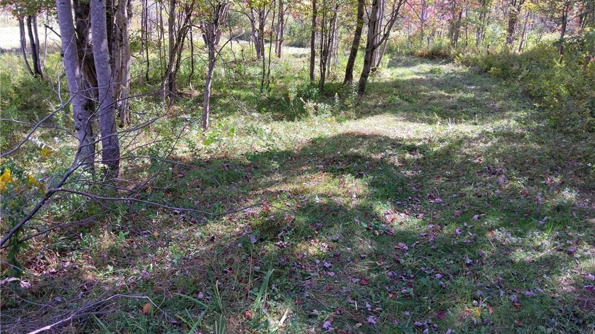 Property at part of 1991 Kotary Road, Lewis, NY 13325 8