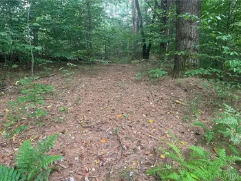 Property at 671 Waterbury Road, Redfield, NY 13437