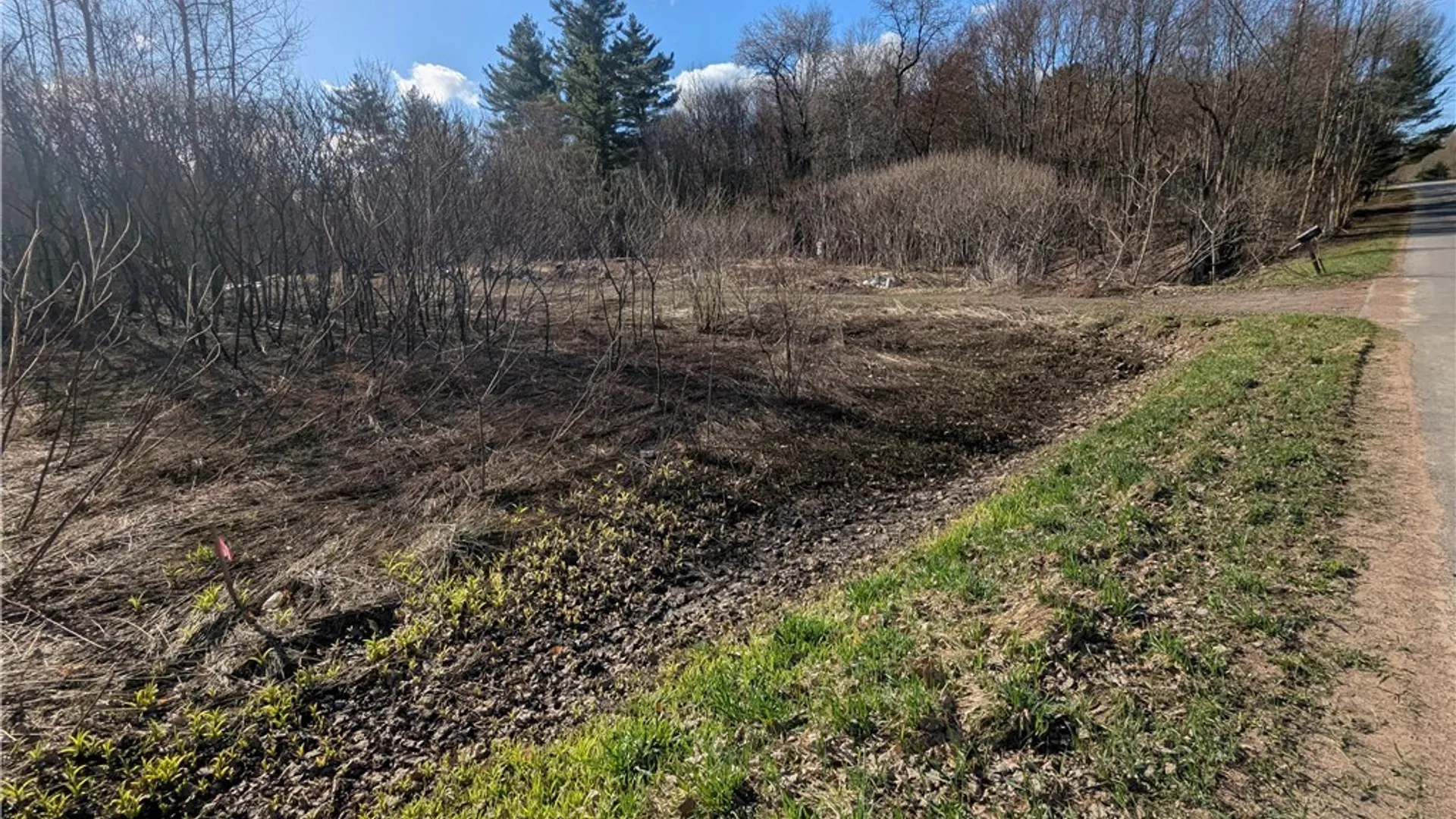 Property at 592 Baum Road, Hastings, NY 13076 2