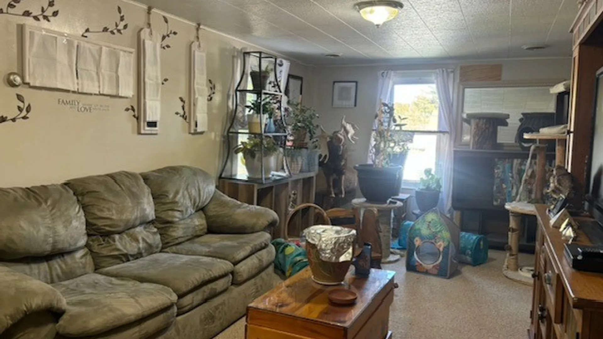 Property at 198 Owego Street, Candor, NY 13743 14