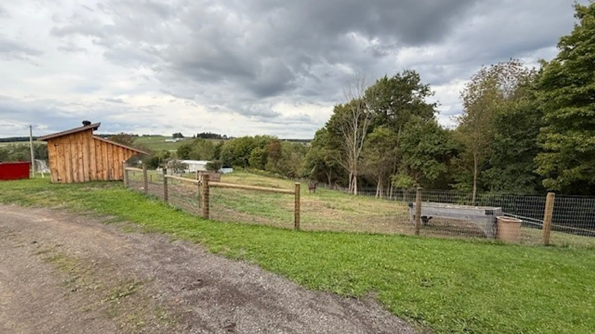 Property at 10054 Pratt Road, Centerville, NY 14744 2