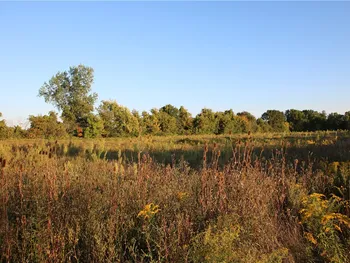 Property at N Manning Road, Clarendon, NY 14429
