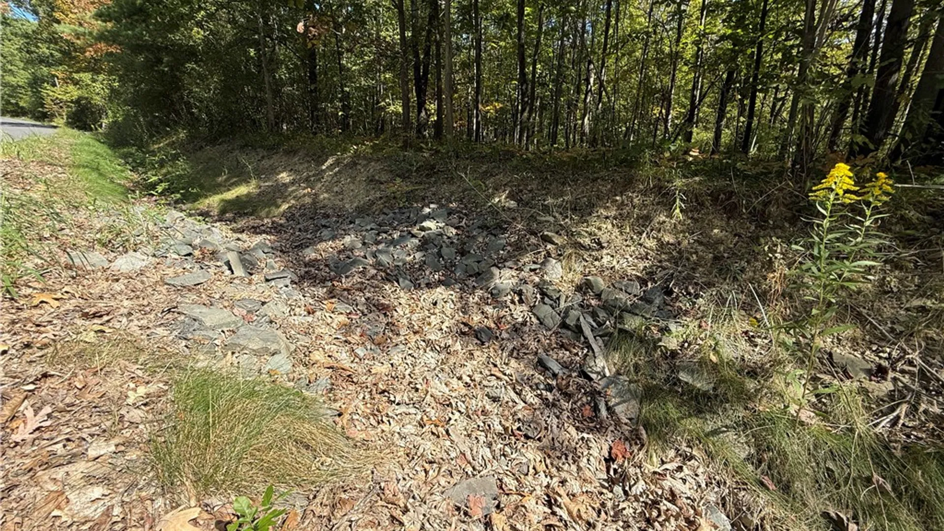 Property at Upson Road, Big Flats, NY 14814 12