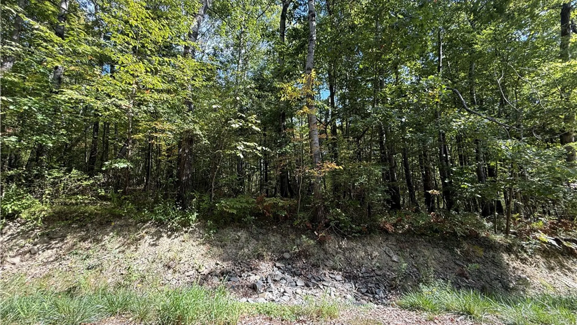 Property at Upson Road, Big Flats, NY 14814 15