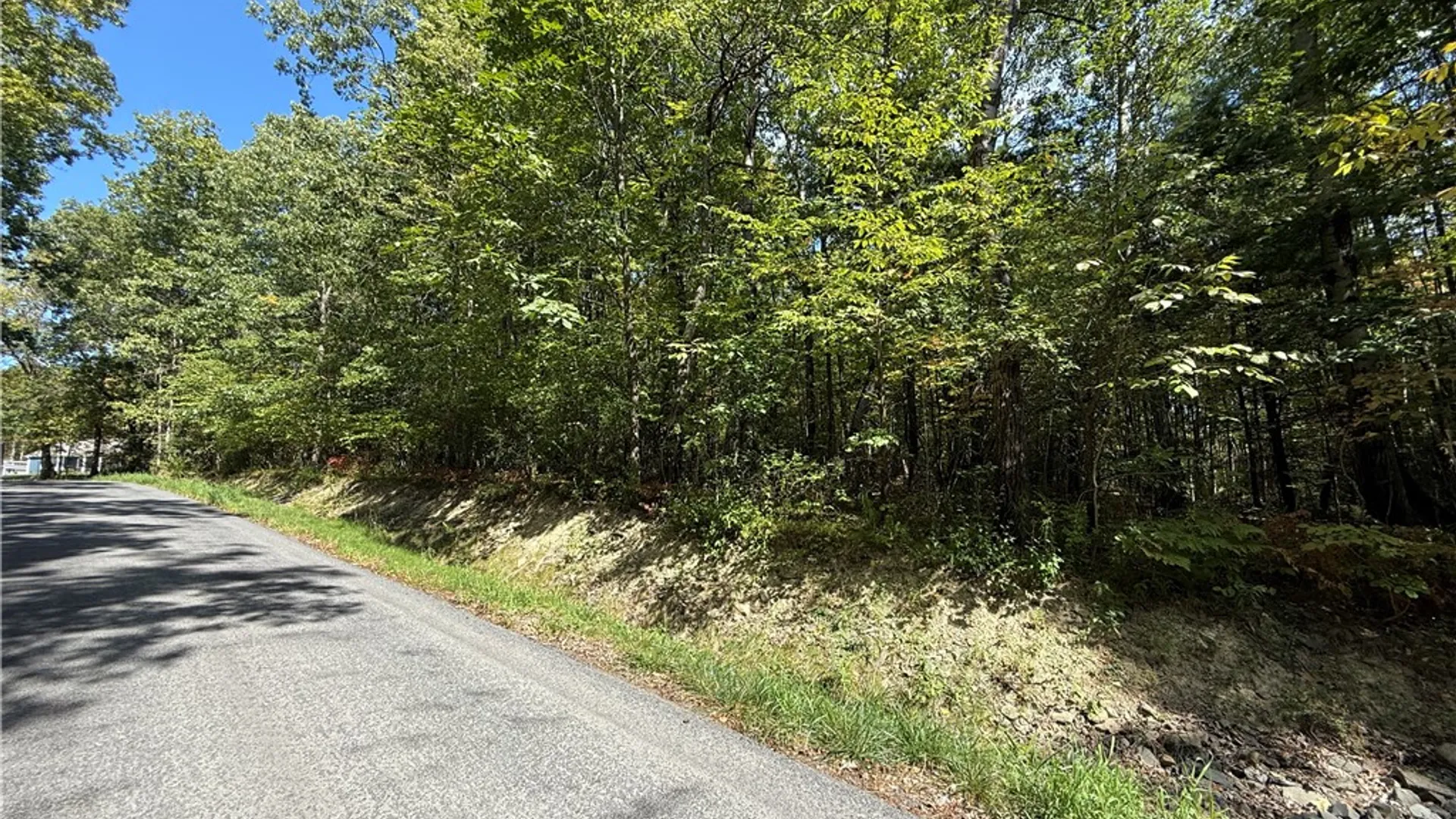 Property at Upson Road, Big Flats, NY 14814 16