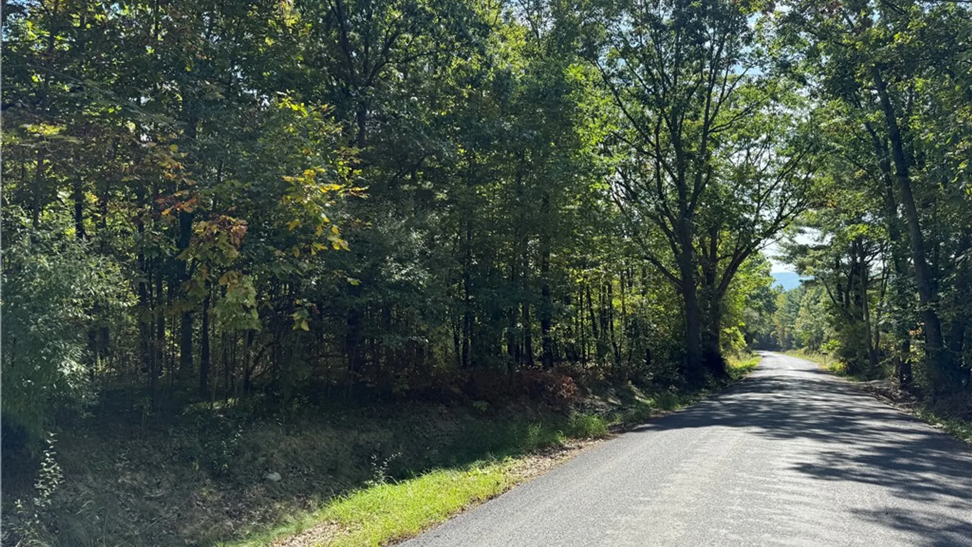 Property at Upson Road, Big Flats, NY 14814 18
