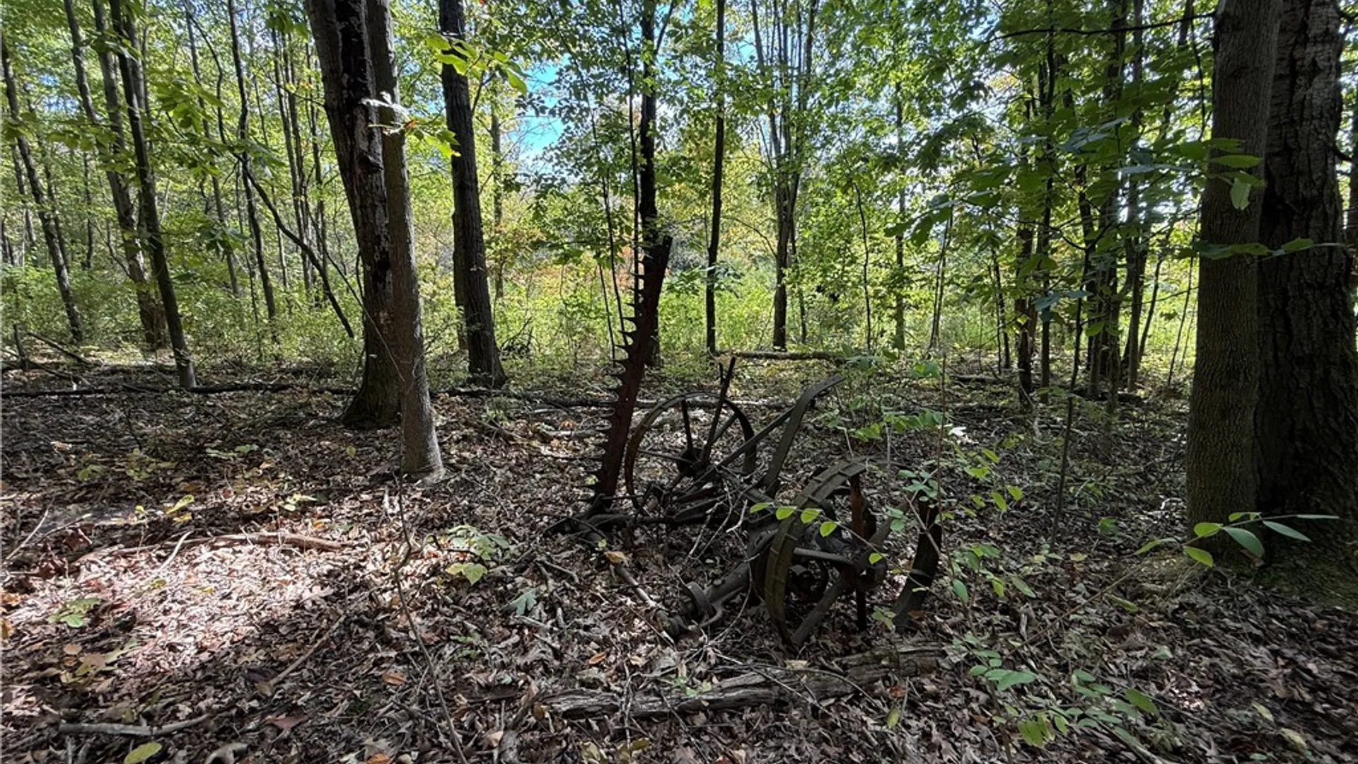 Property at Upson Road, Big Flats, NY 14814 19