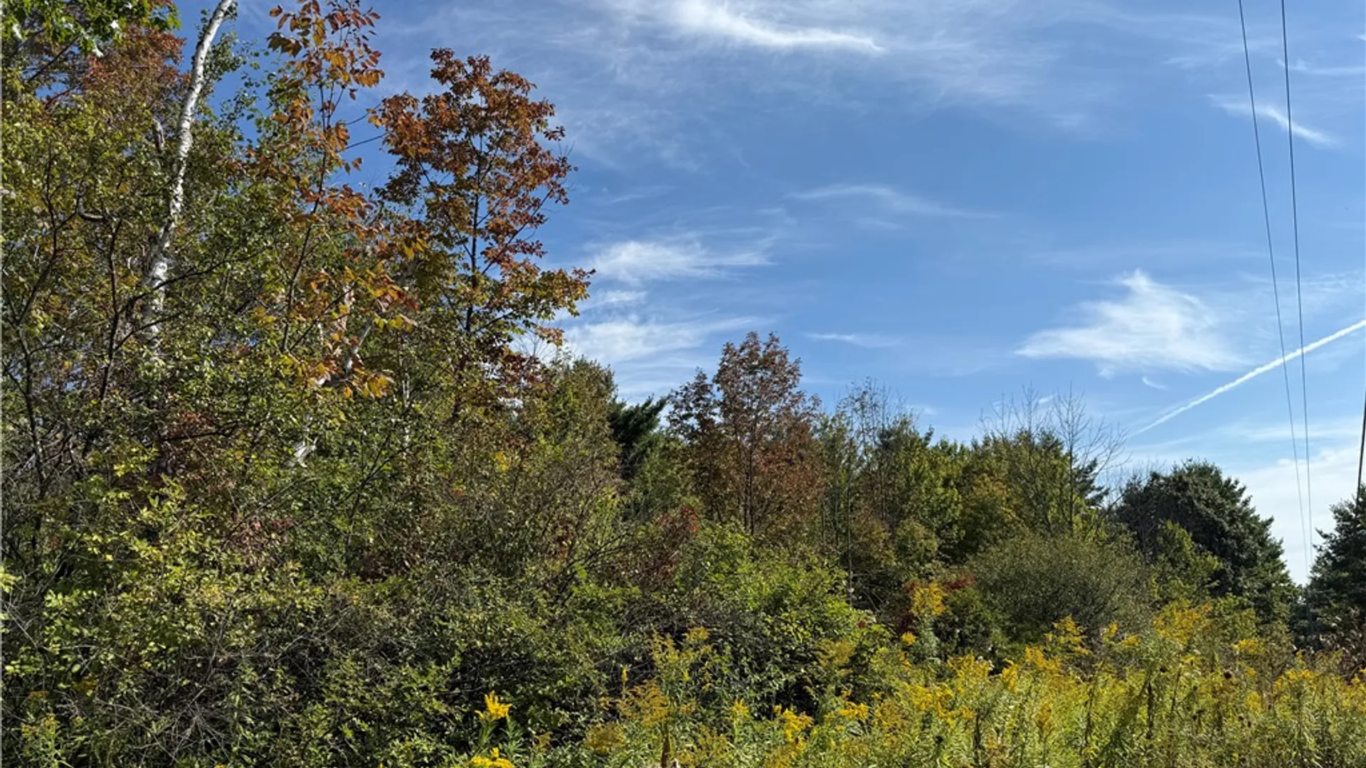 Property at Upson Road, Big Flats, NY 14814 2