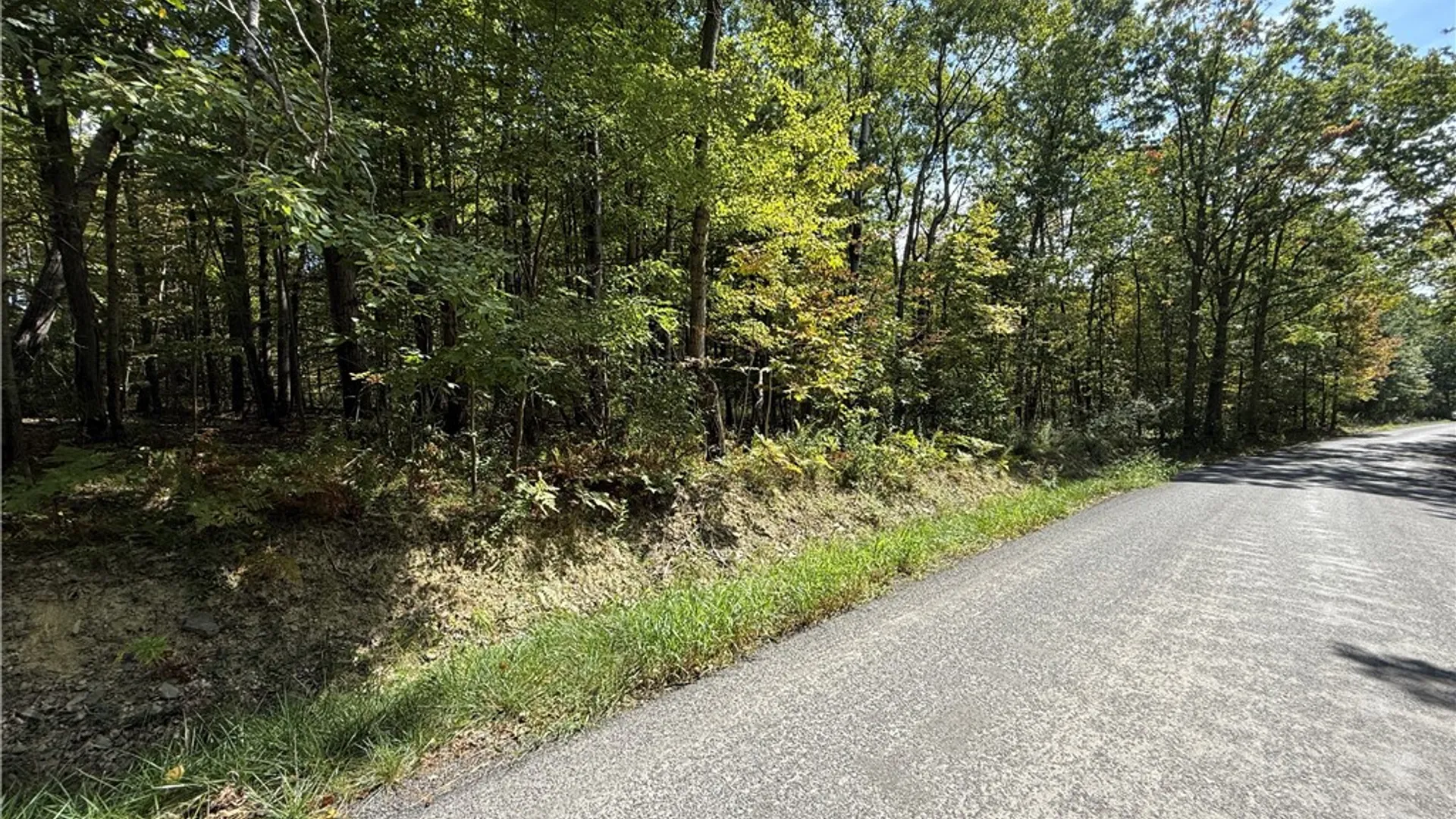 Property at Upson Road, Big Flats, NY 14814 20