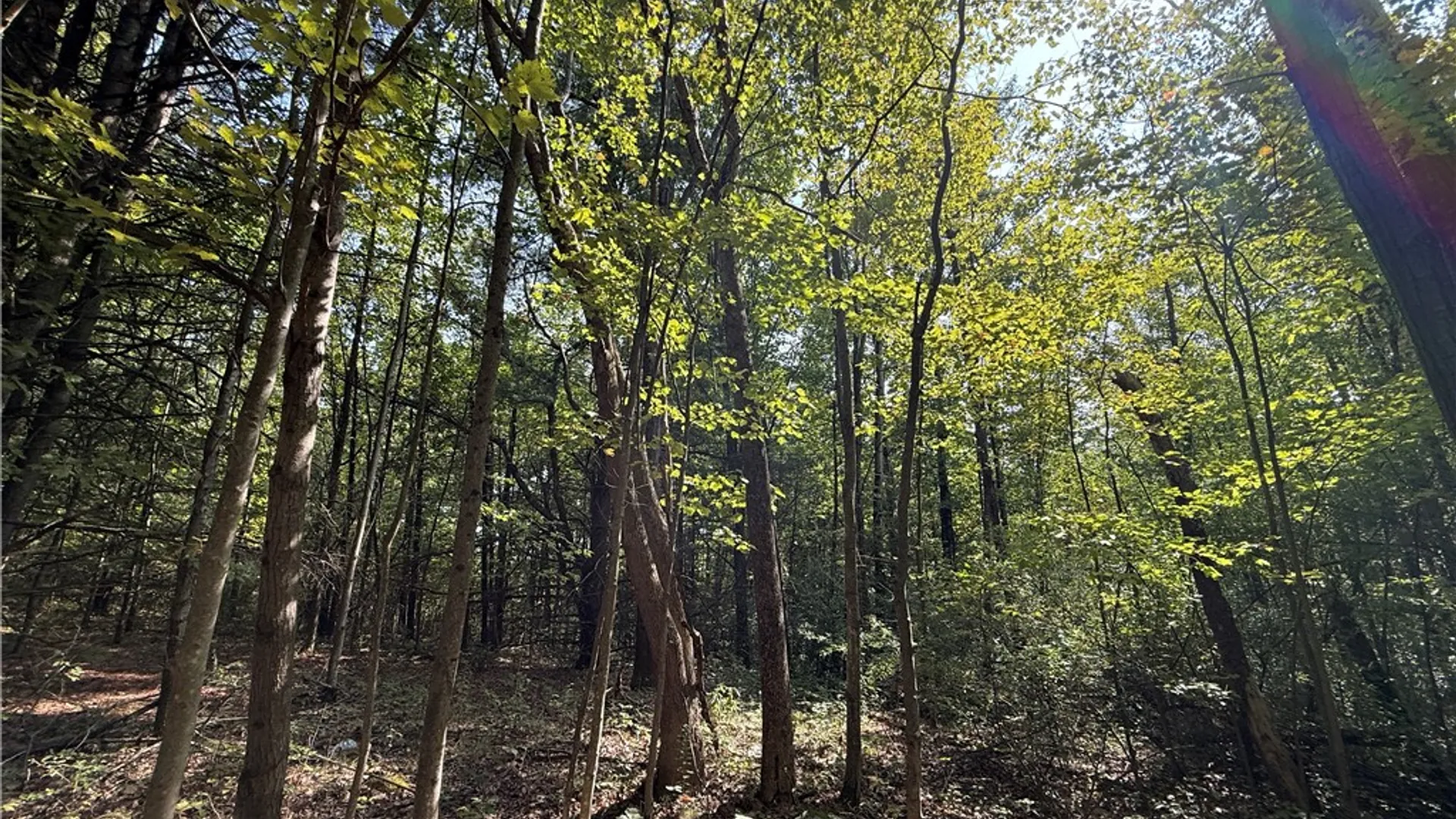 Property at Upson Road, Big Flats, NY 14814 22