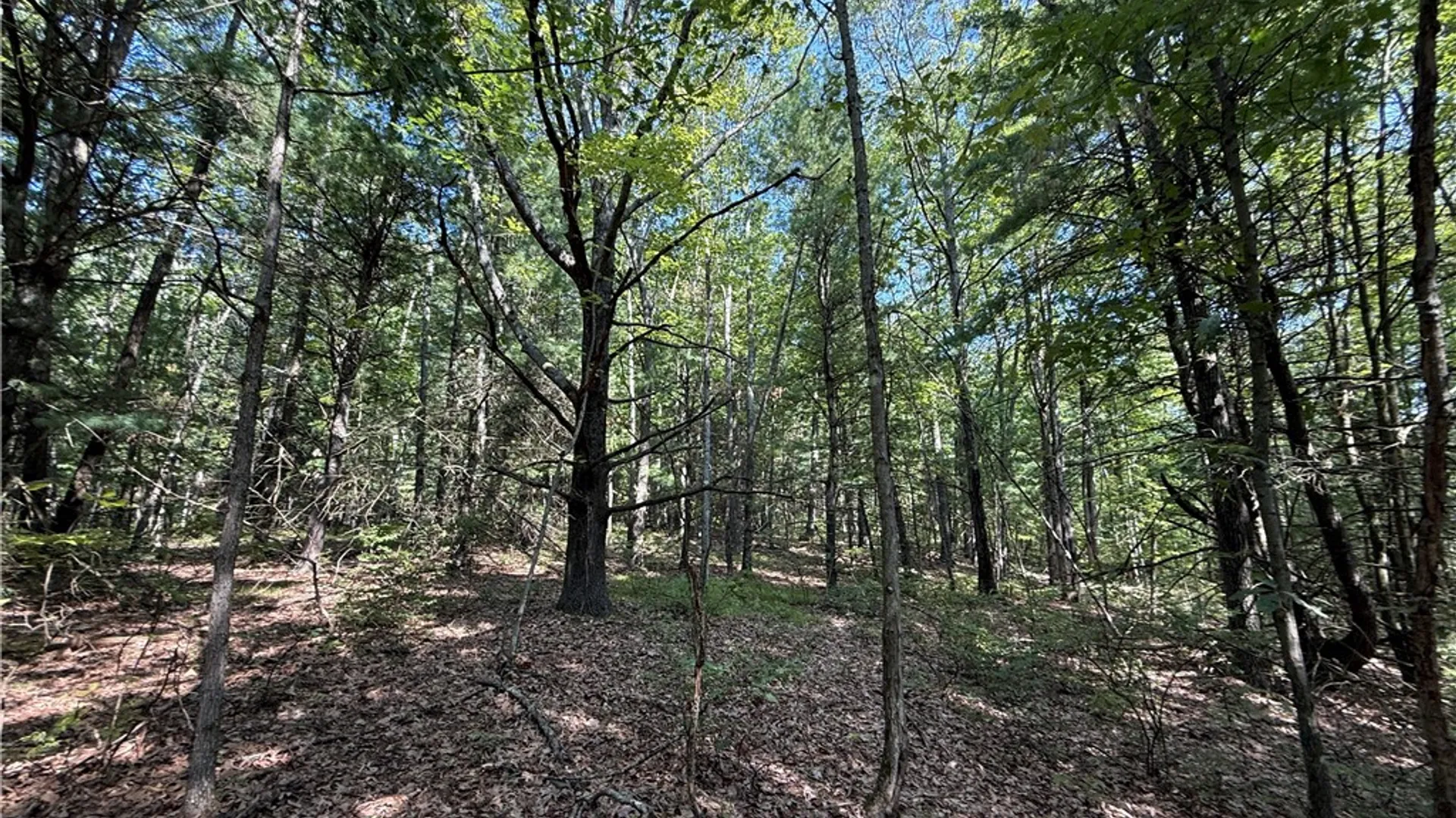 Property at Upson Road, Big Flats, NY 14814 23