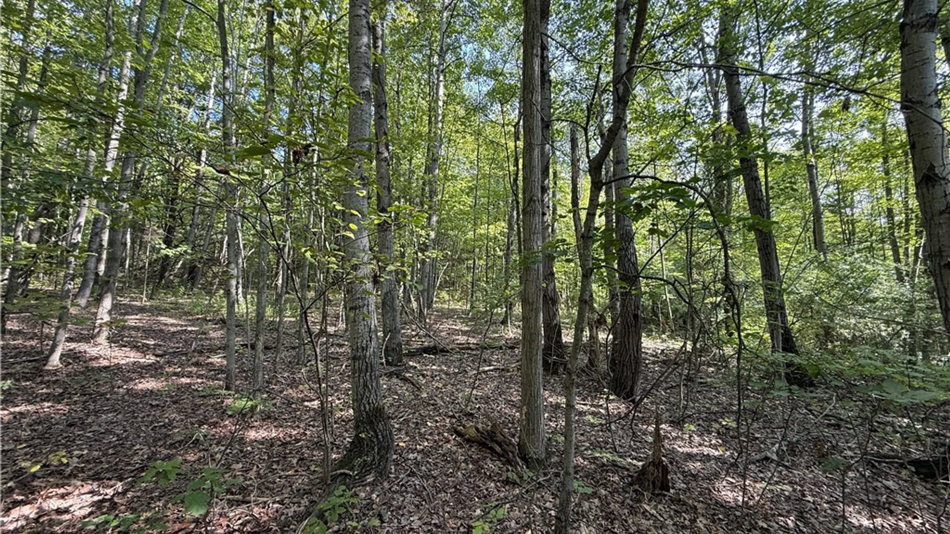 Property at Upson Road, Big Flats, NY 14814 25