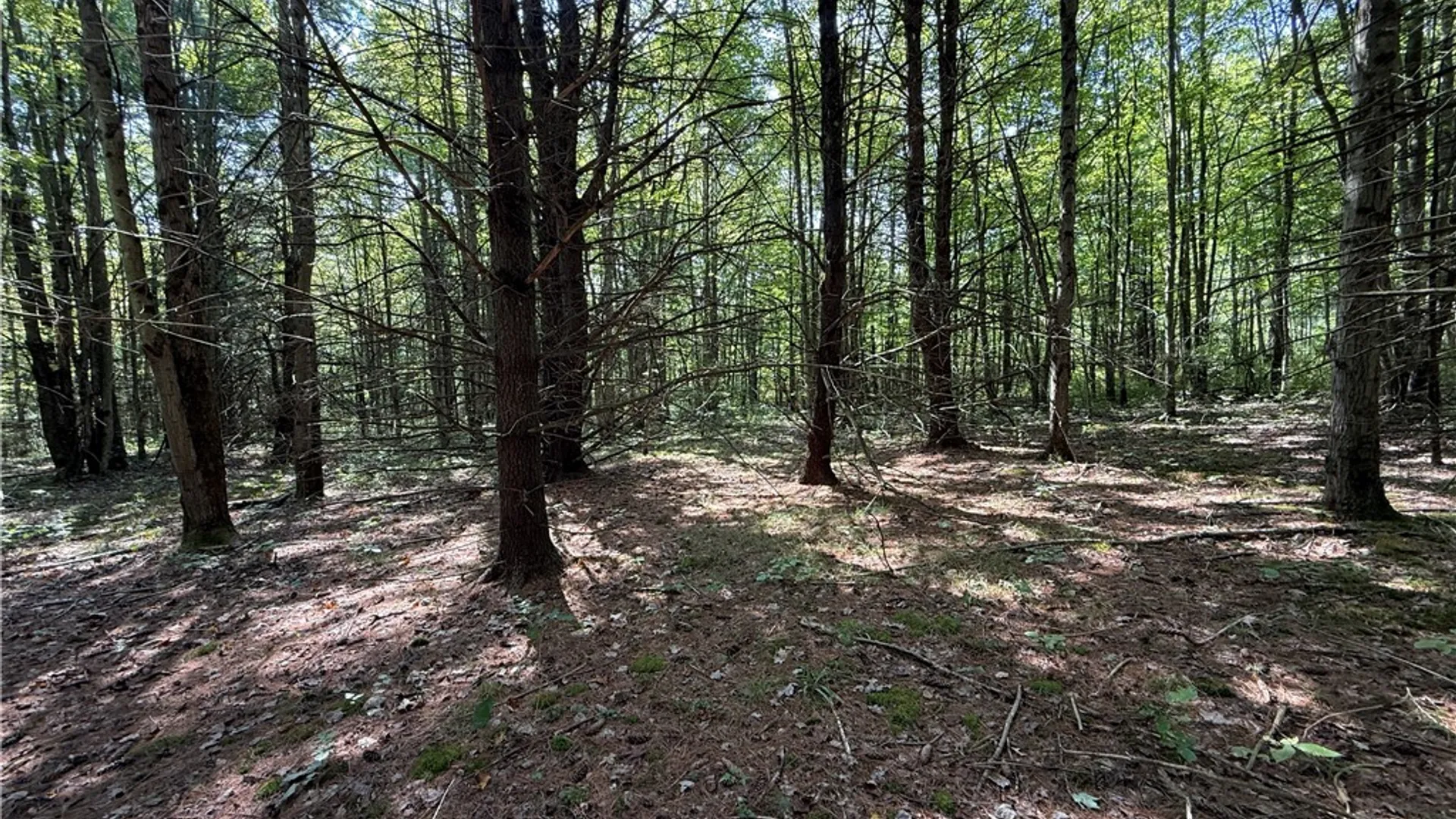 Property at Upson Road, Big Flats, NY 14814 28