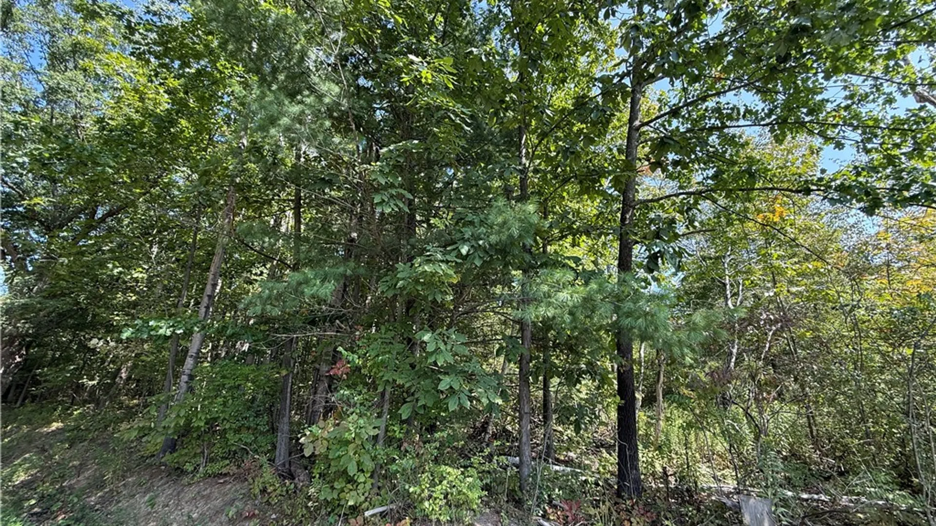 Property at Upson Road, Big Flats, NY 14814 30