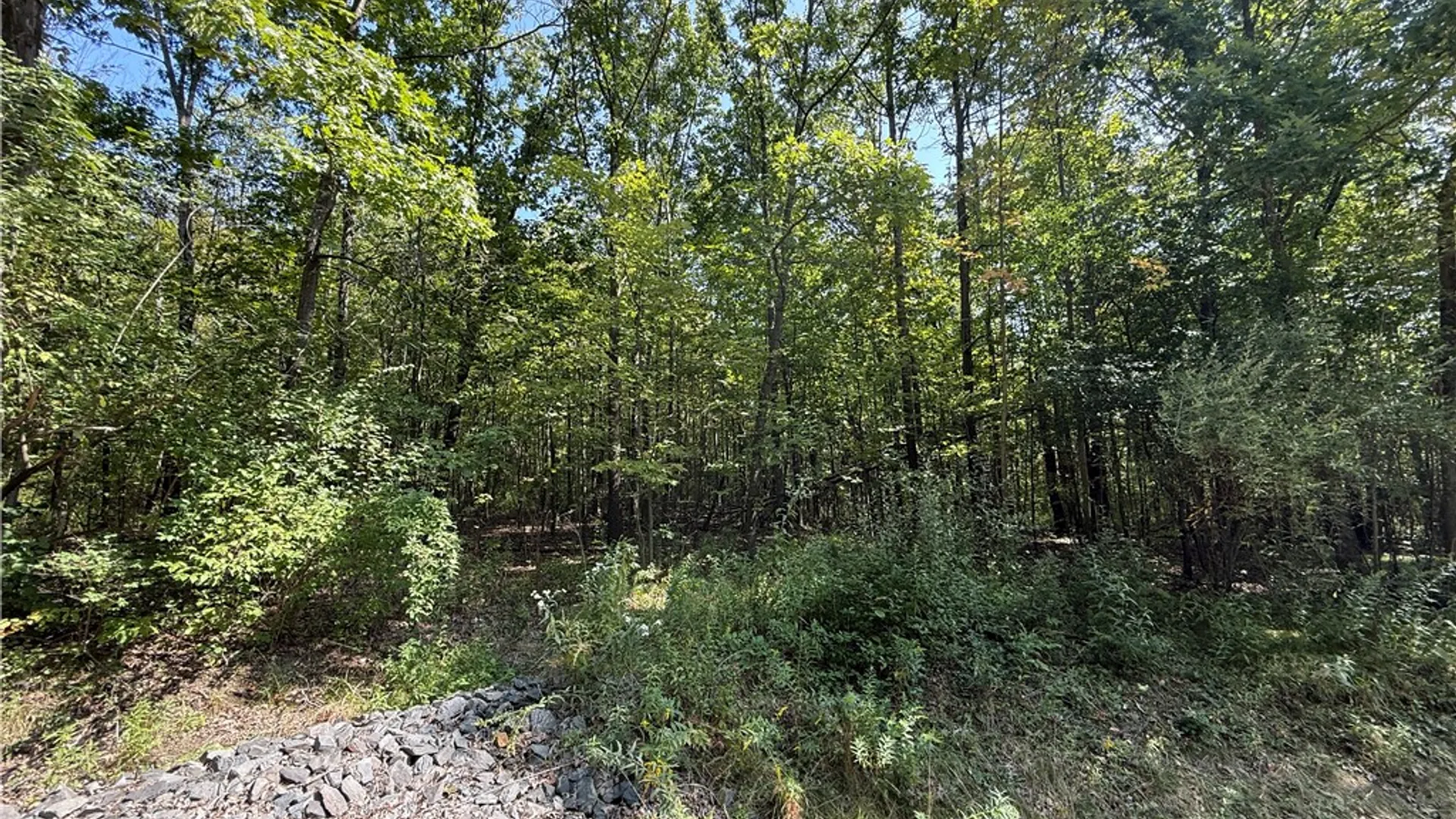Property at Upson Road, Big Flats, NY 14814 31