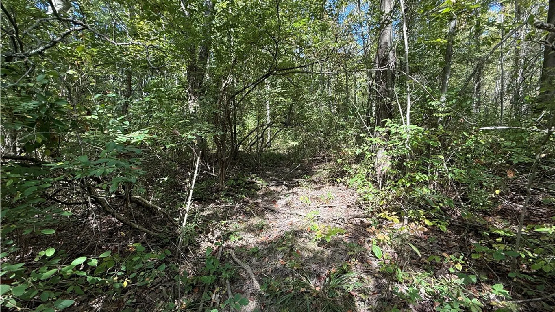 Property at Upson Road, Big Flats, NY 14814 4