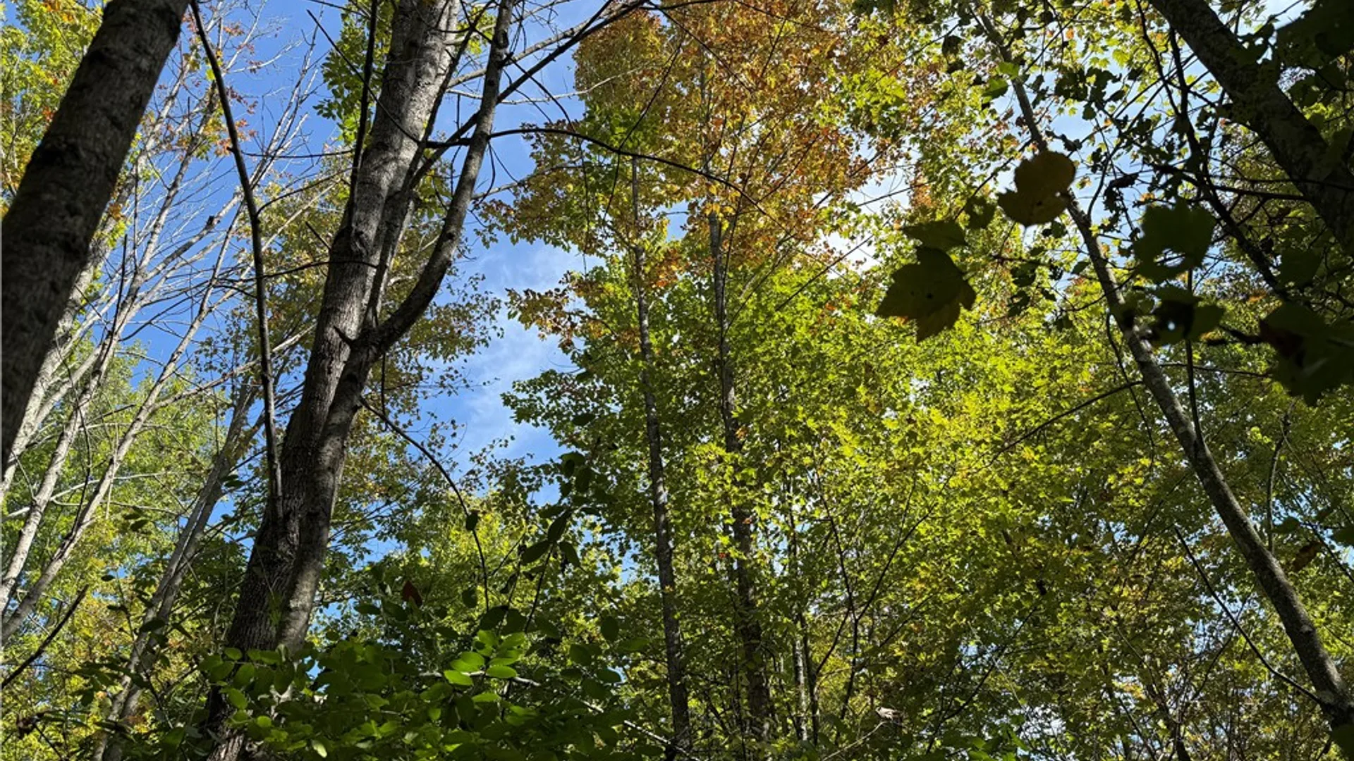 Property at Upson Road, Big Flats, NY 14814 5