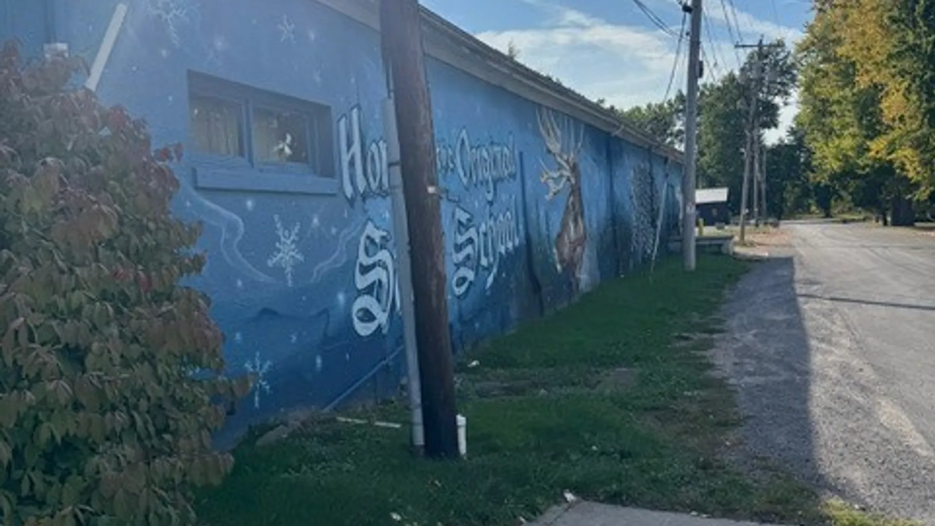 Property at 178 Main Street, Albion, NY 14411 4