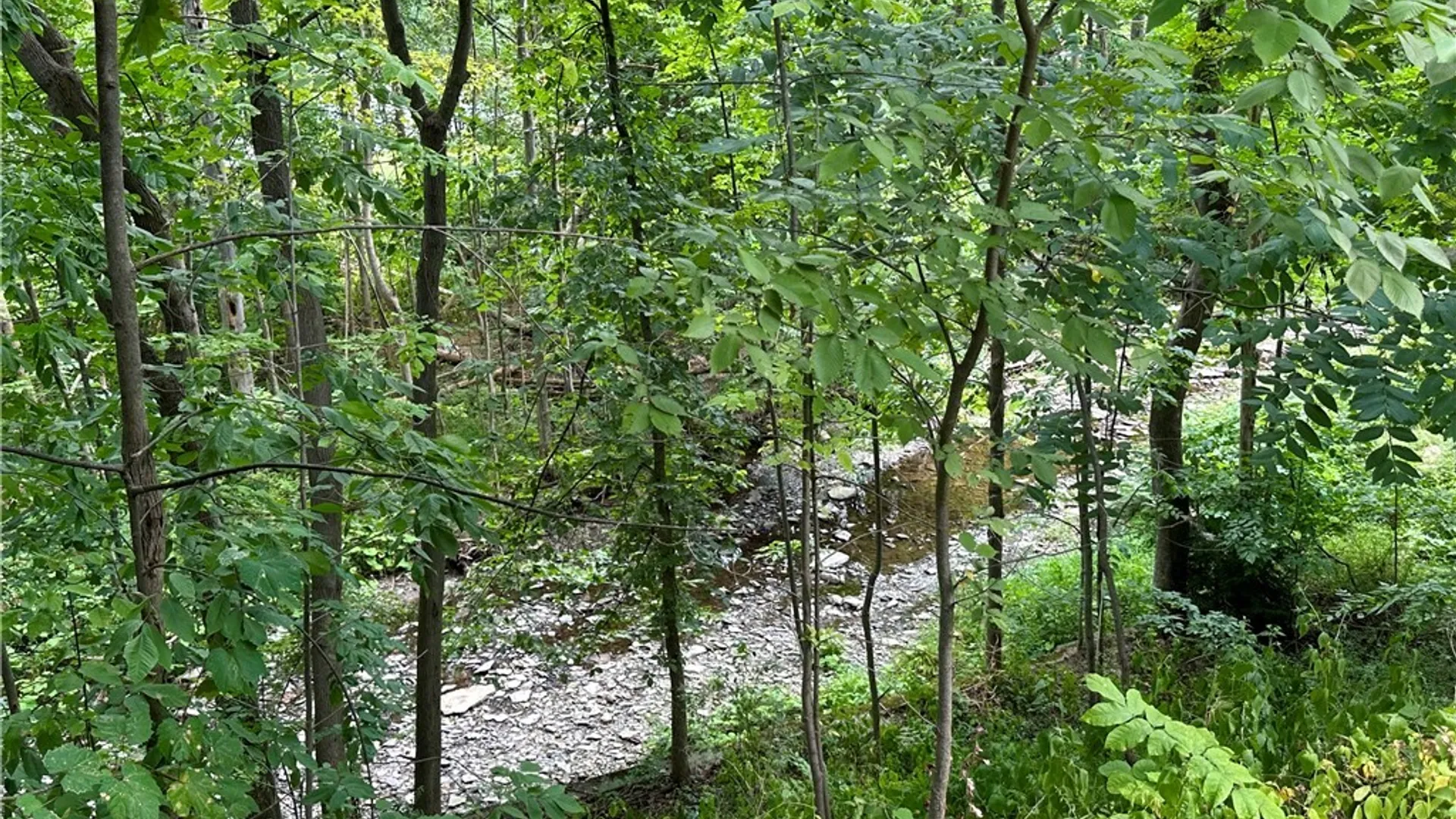 Property at 1005 Big Tree Rd, Aurora, NY 14052 43