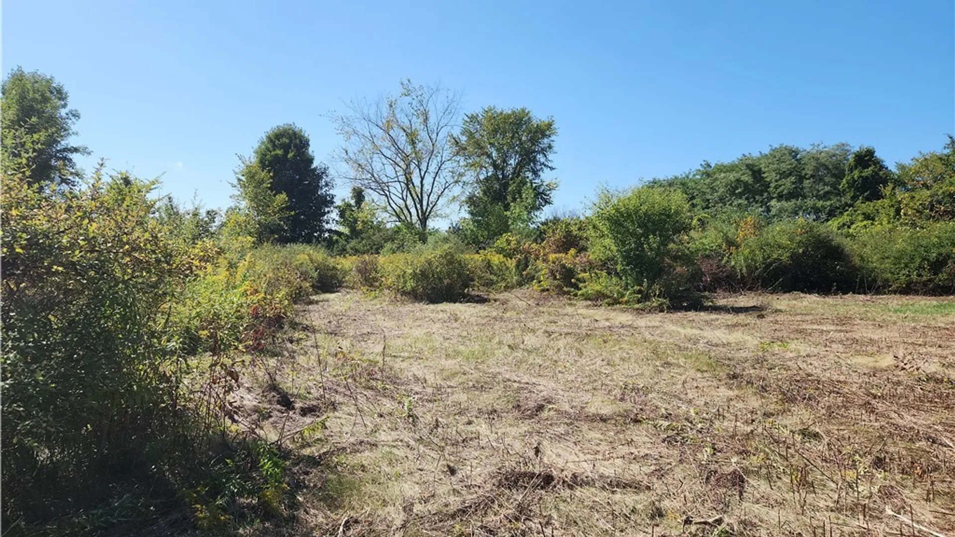 Property at 32032 Carter Street Road, Orleans, NY 13656 11