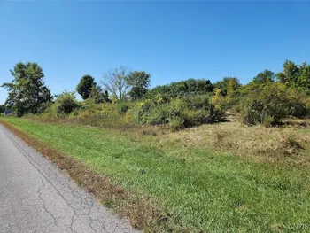 32032 Carter Street Road, Orleans, NY 13656