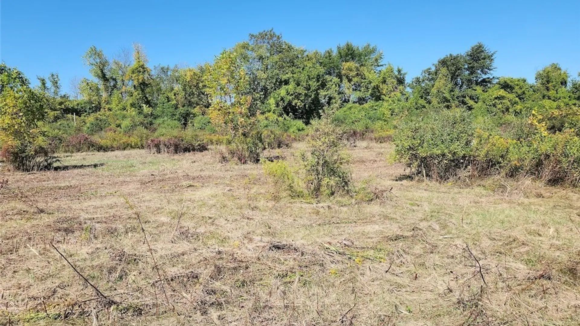 Property at 32032 Carter Street Road, Orleans, NY 13656 2