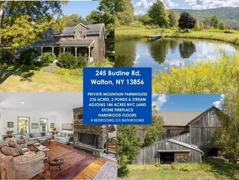 Property at 245 Budine Road, Walton, NY 13856