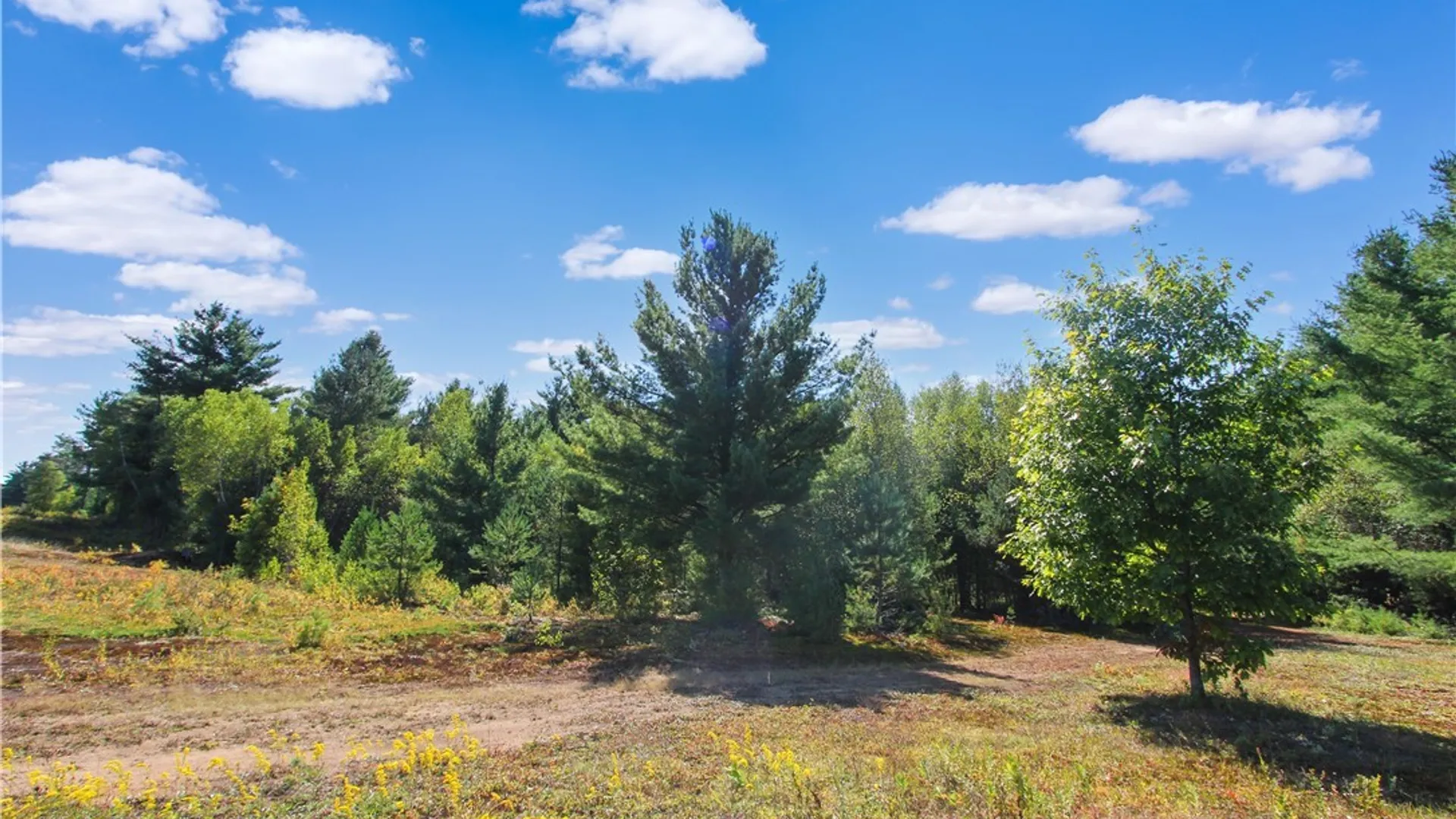 Property at 8 Vrooman Road, Pitcairn, NY 13648 34