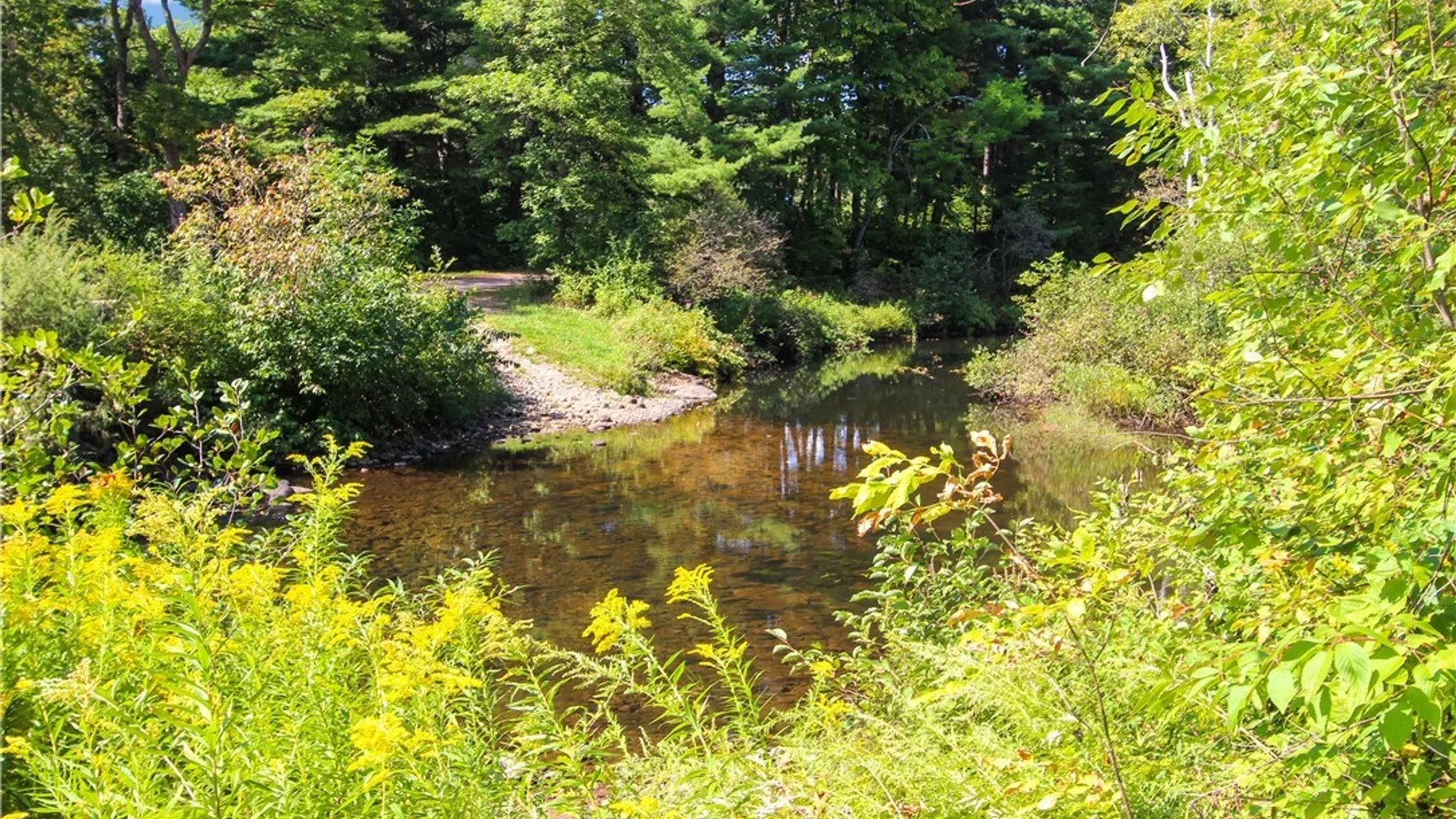 Property at 8 Vrooman Road, Pitcairn, NY 13648 36