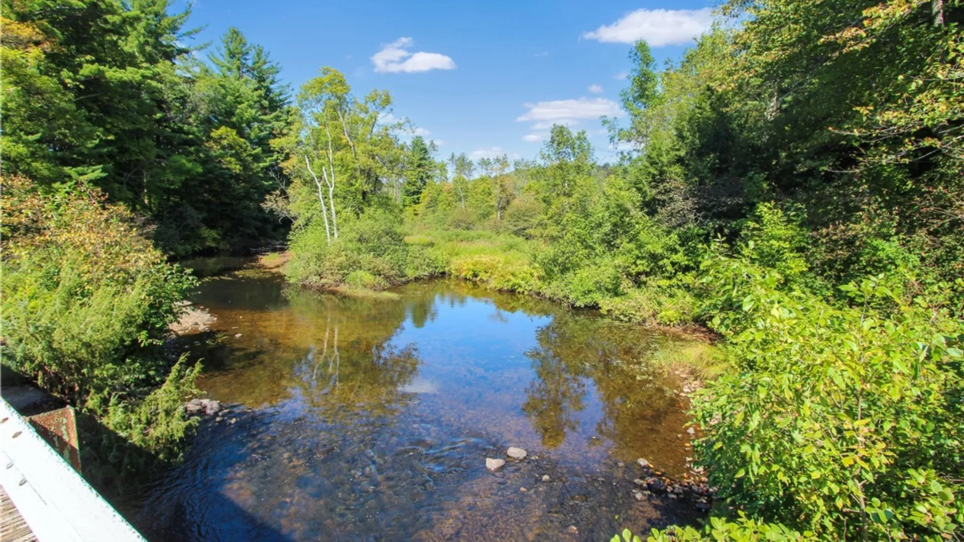 Property at 8 Vrooman Road, Pitcairn, NY 13648 37