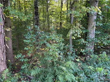 Property at 7639 Oakview Terrace, Floyd, NY 13440