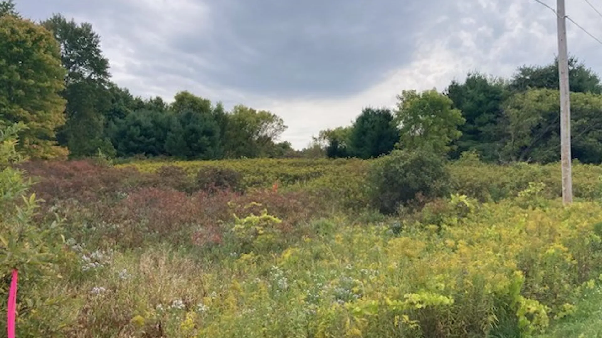 Property at 0 Link Road, Rome, NY 13440 2