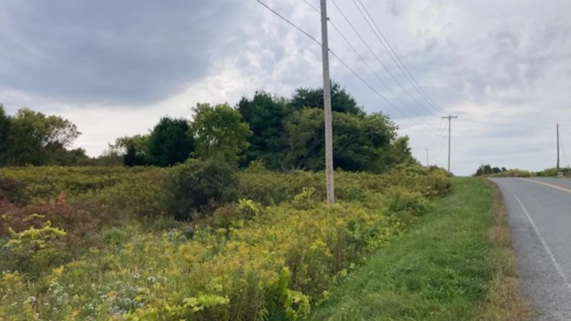 Property at 0 Link Road, Rome, NY 13440 3