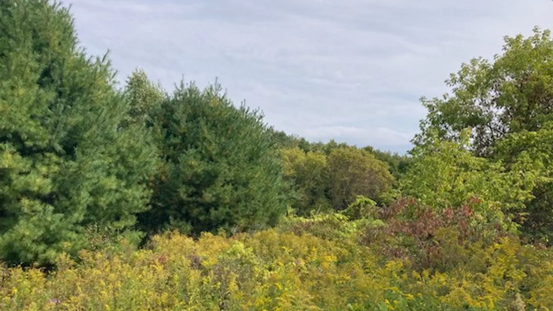 Property at 0 Link Road, Rome, NY 13440 4