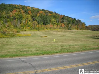 Property at LOT # 4 Five Mile Road, Allegany, NY 14706